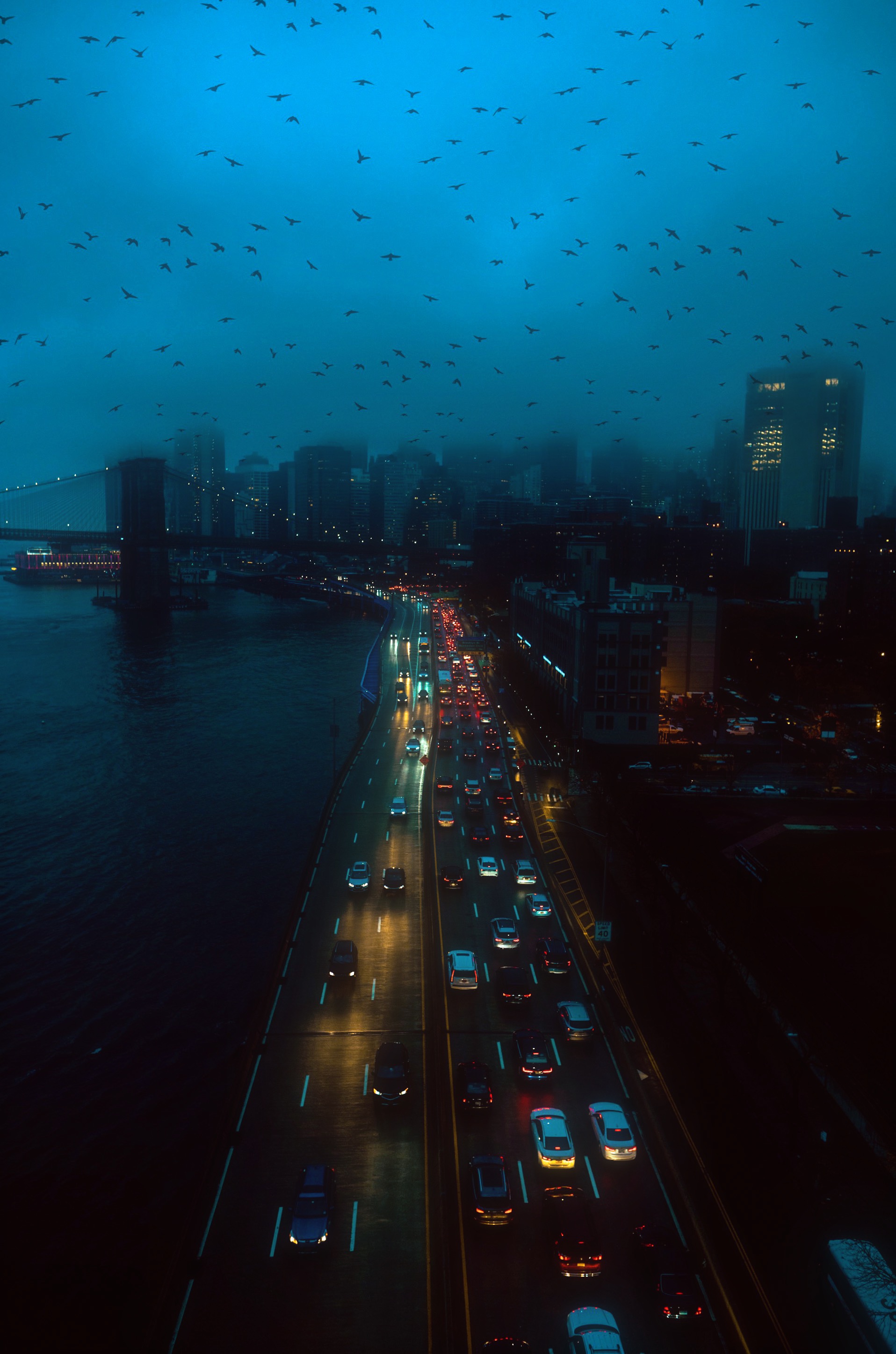 Contributor Background
